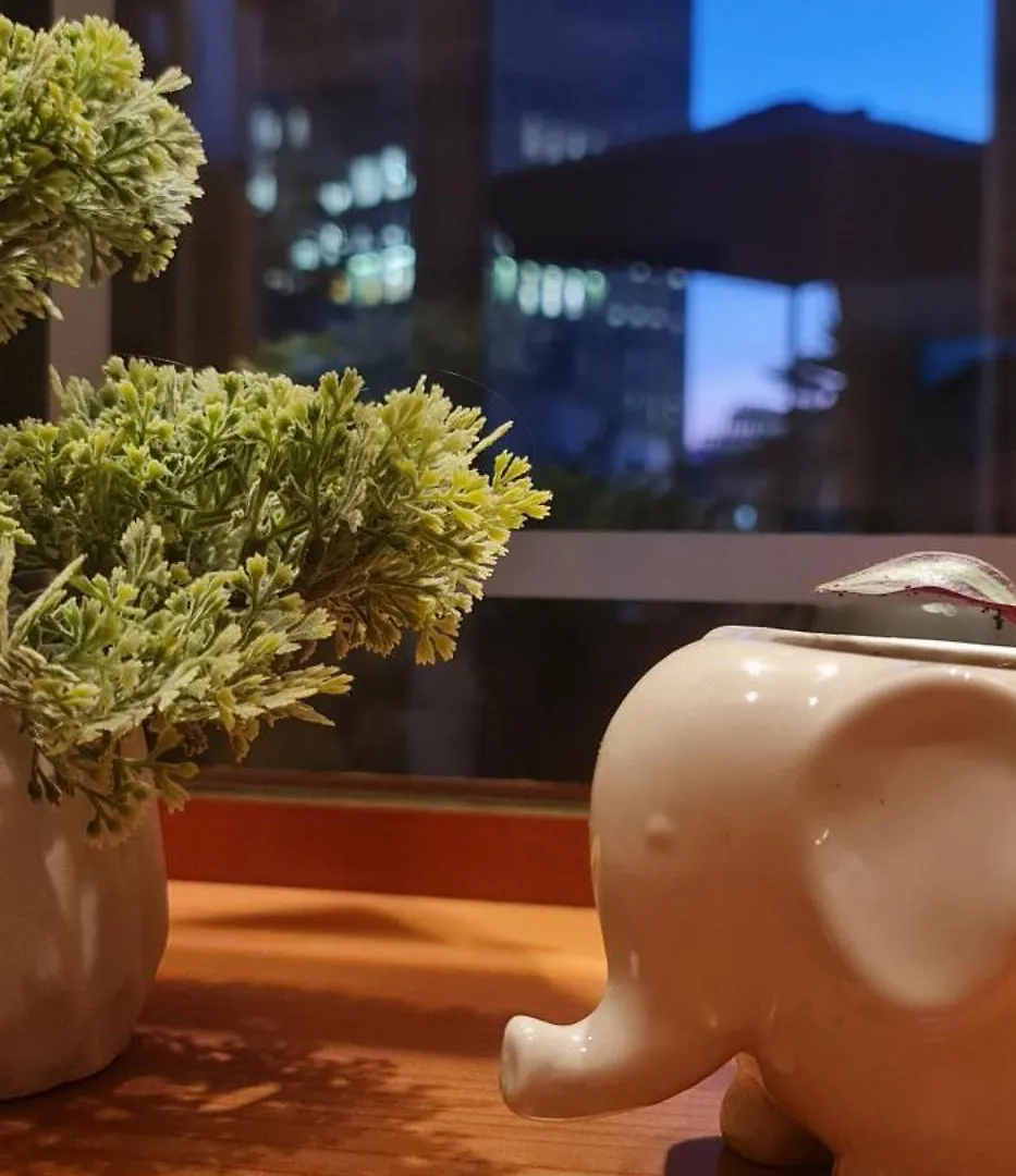 The Bloom Veranda - Elegant City Center Retreat Tirana